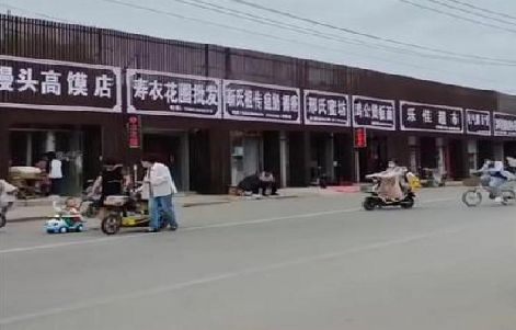 苍南政府规划的统一招牌样式有哪些？